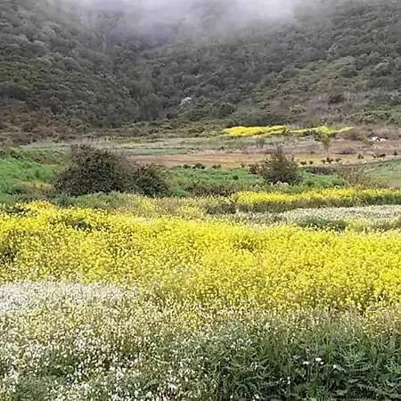 Nyaraló La Casa De Abuelo *